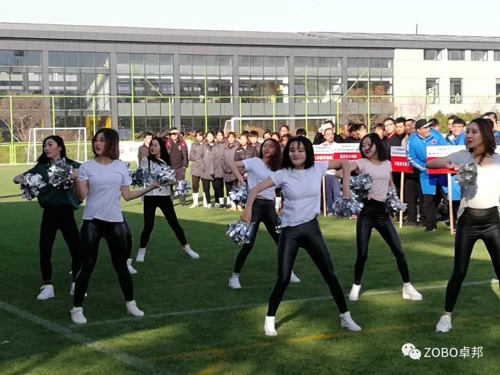 ZOBO香蕉91下载