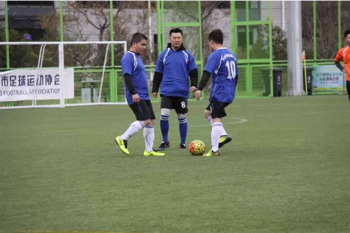 ZOBO香蕉91下载