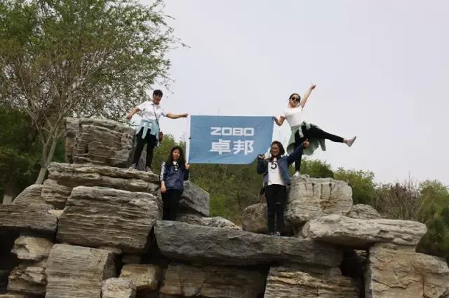 ZOBO香蕉91下载