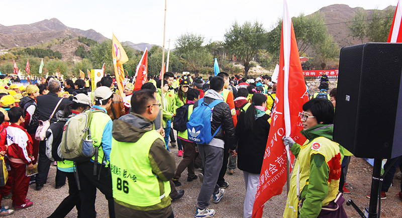 以爱之名，贴地疾行